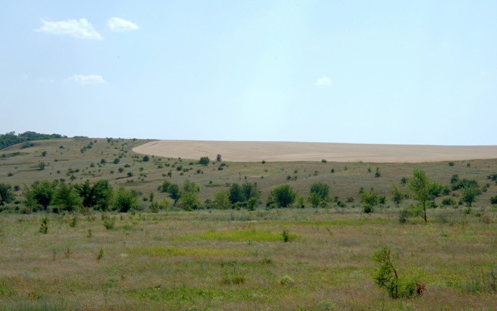 Река Быстрая в жарком июле