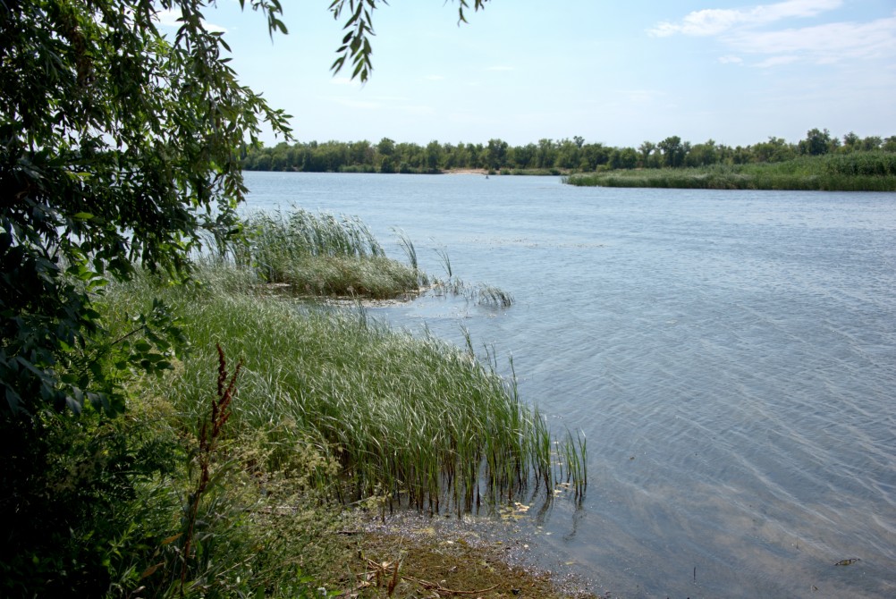 Дон и Старый Дон у хутора Чебачий