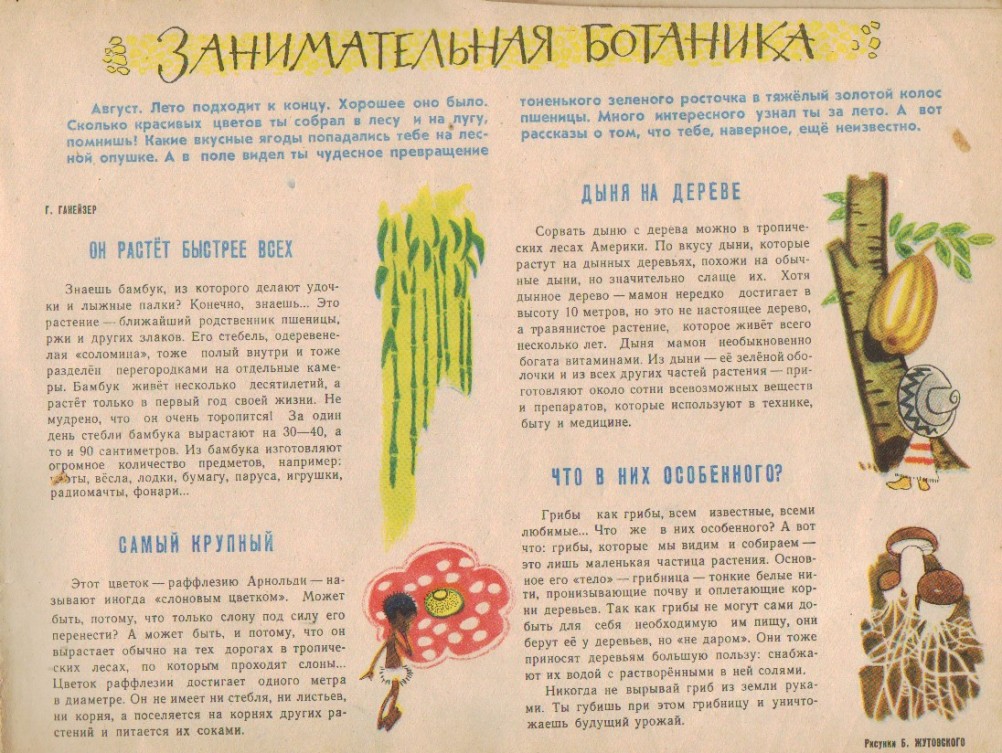 Календарь "Звёздочка" 1964