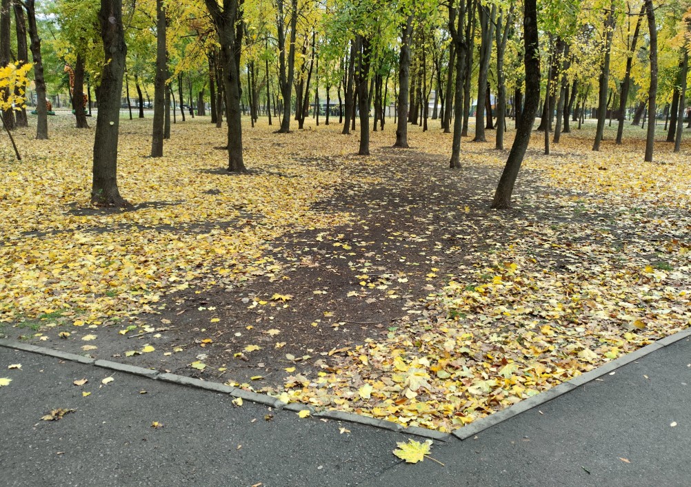 осень в парке им. Н. Островского