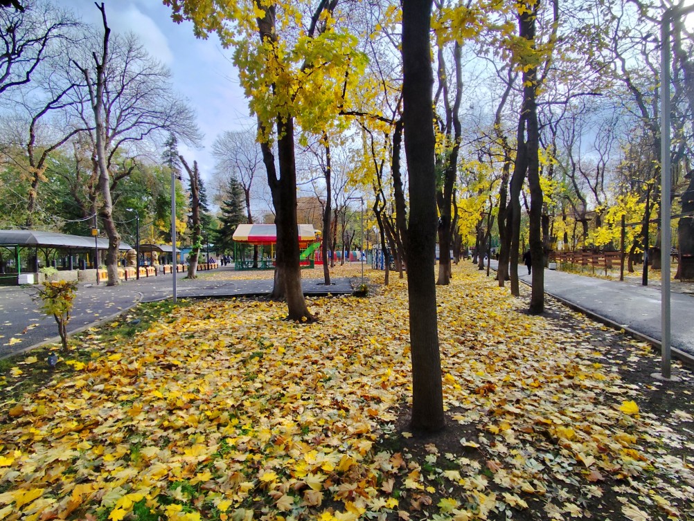 осень в парке им. Н. Островского