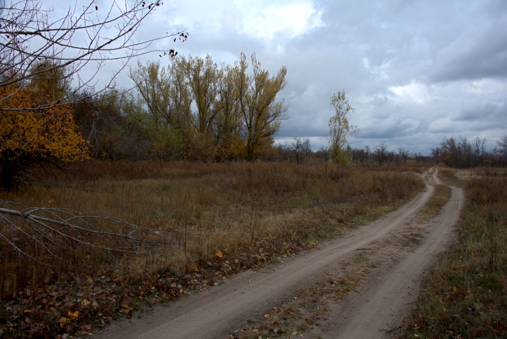 Поиск грибов в белолистке, в ноябрьских, Кундрюченских лесах