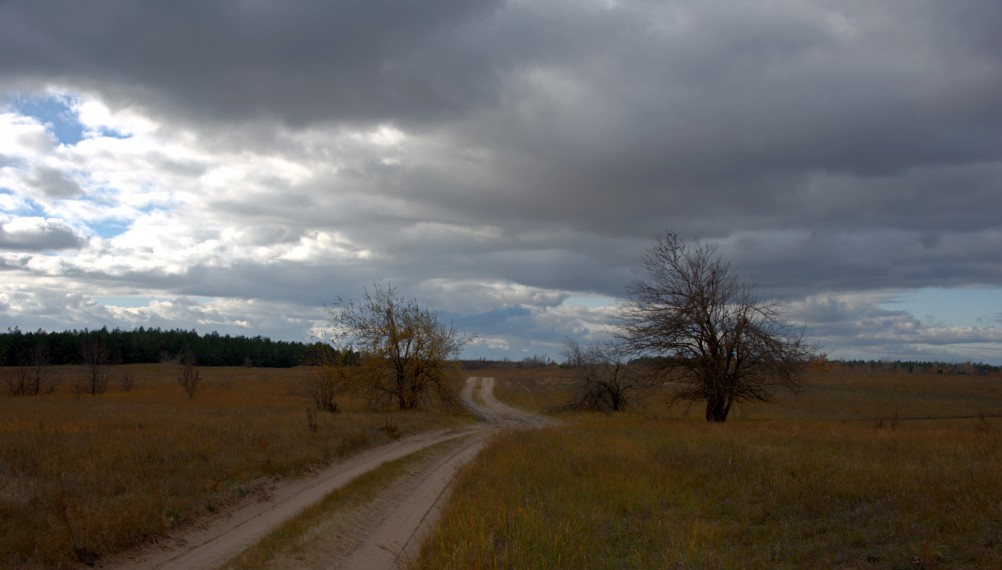 Поиск грибов в белолистке, в ноябрьских, Кундрюченских лесах