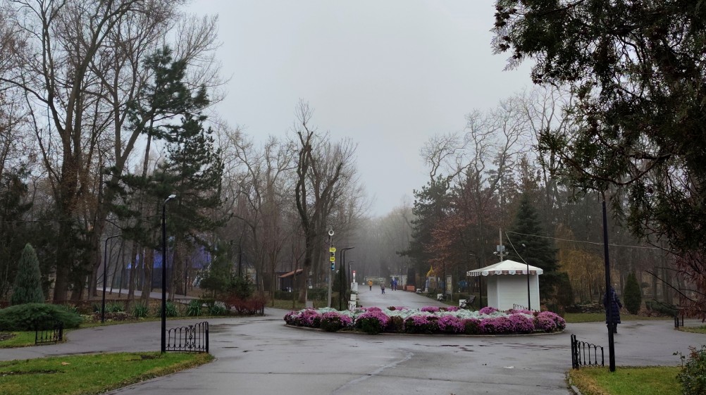 парк им Н. Островского