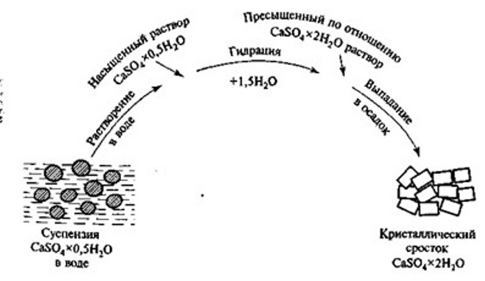 Рождение кристаллов гипса в глине на берегах Меотиды