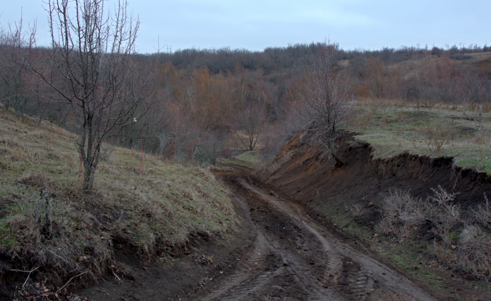 Родник у хутора Крымский в Крещенский сочельник