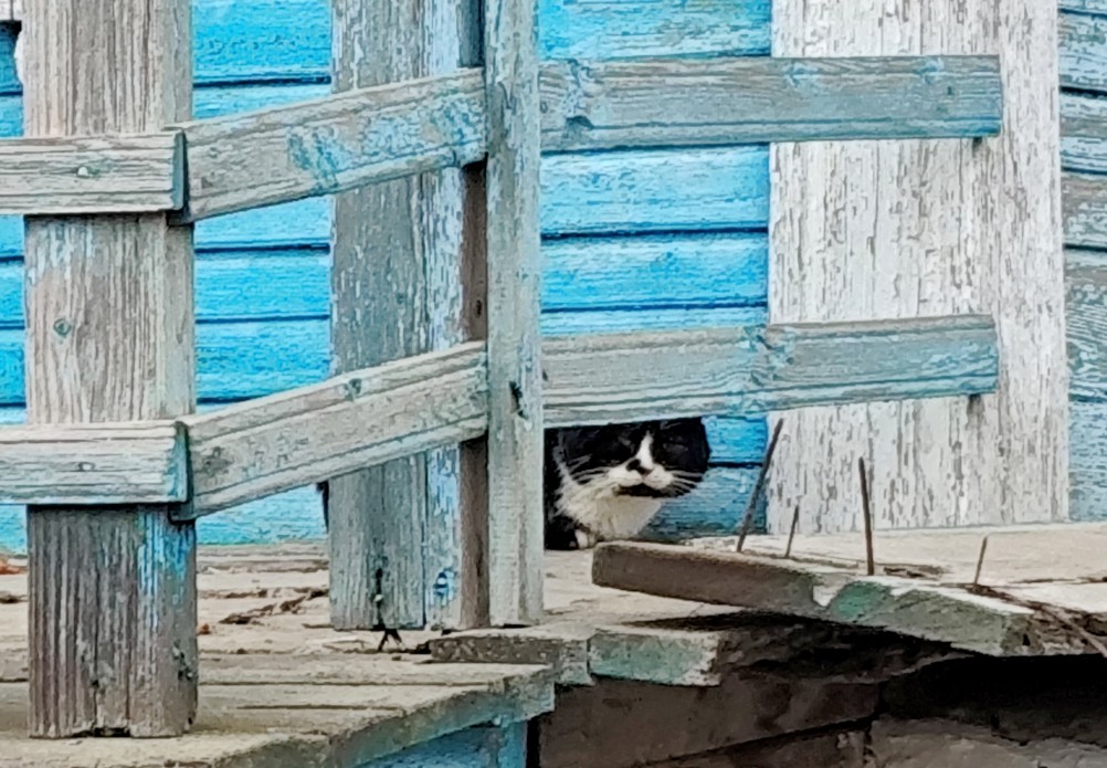 Родник у хутора Крымский в Крещенский сочельник