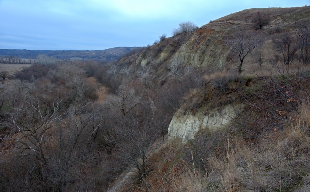 Родник у хутора Крымский в Крещенский сочельник