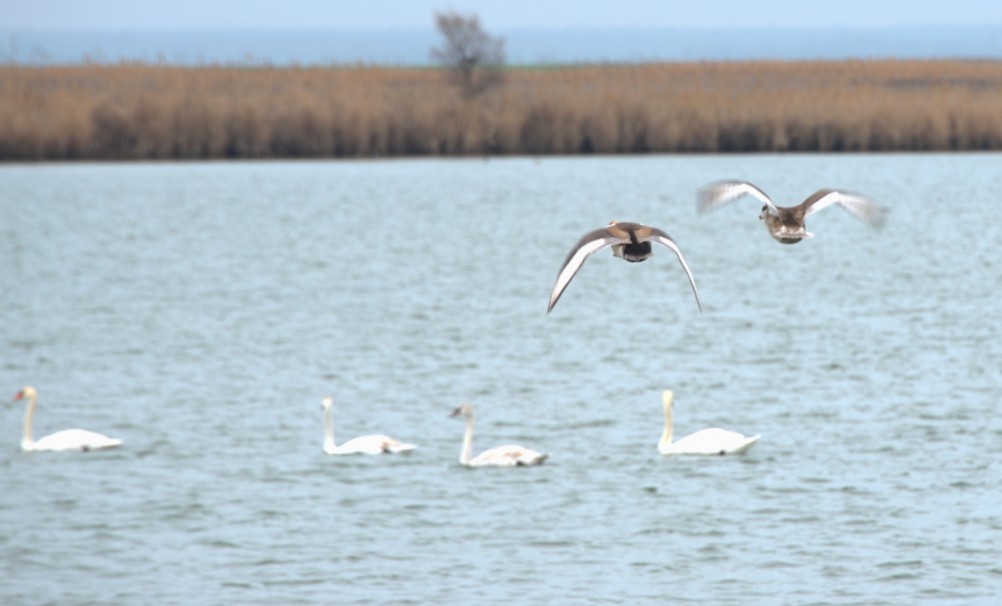 Весна на Весёловском водохранилище.