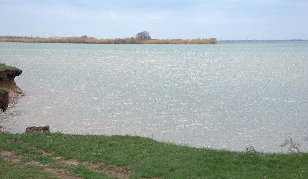 Розовая вода Весёловского водохранилища