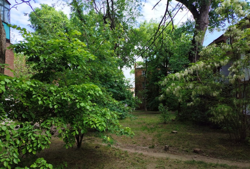 Дворы старого Сельмаша