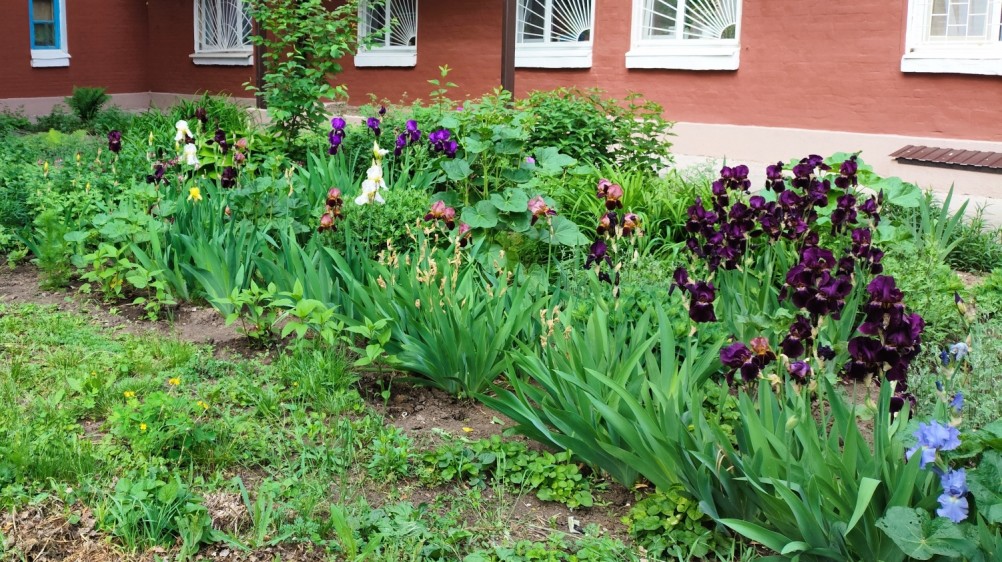 Дворы старого Сельмаша