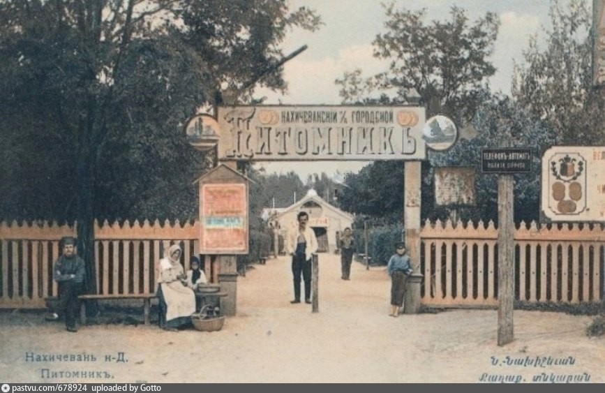 Старый питомник в парке им. Н. Островского