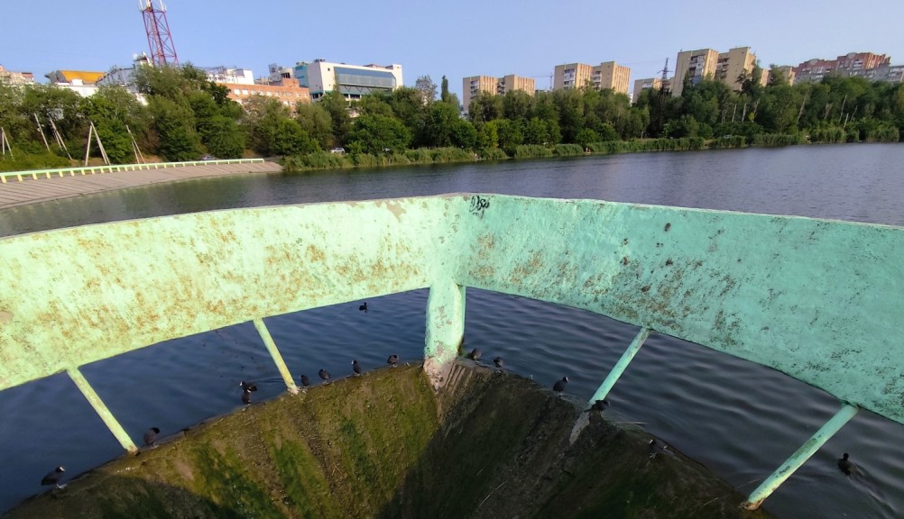 Рыбы, птицы и рыбаки, в первые дни июня на берегу Северного водохранилища