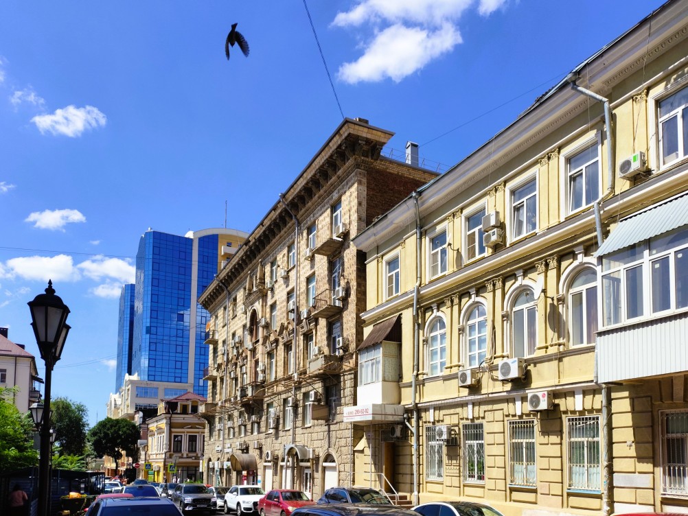 Голубь на Серафимовича