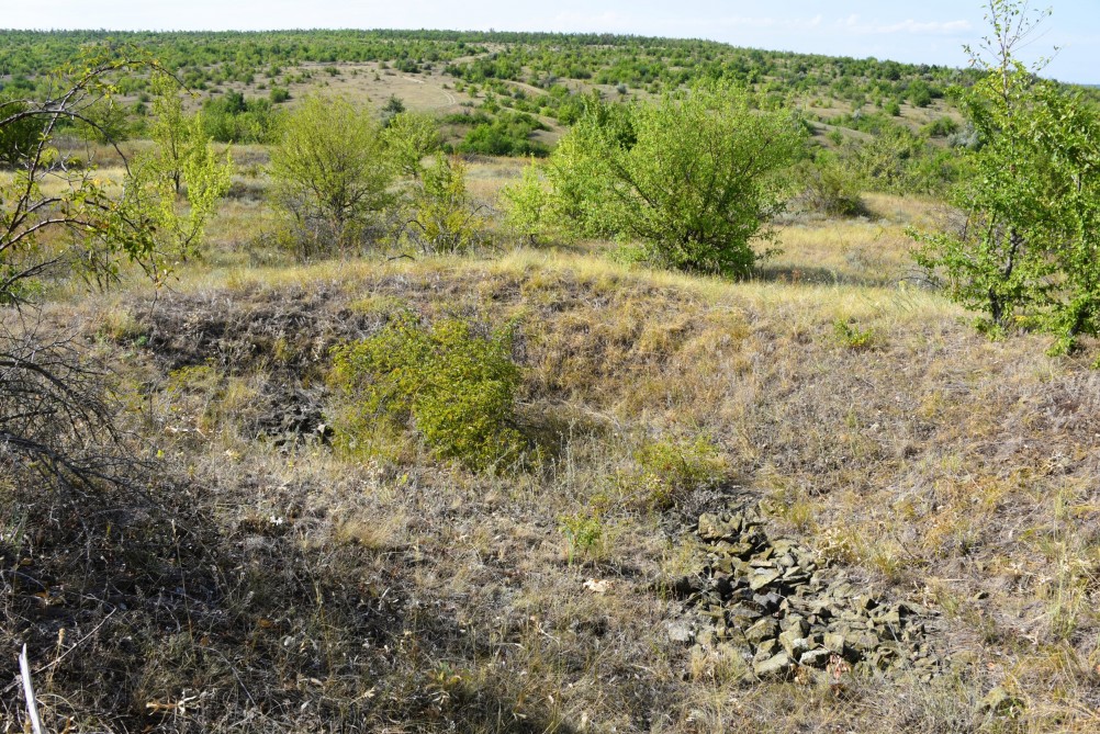 Татарское городище у балки Рубежная на Кундрючьей у станицы Верхнекундрюченской