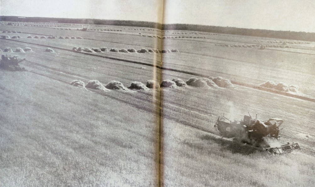 Хлеб 1973