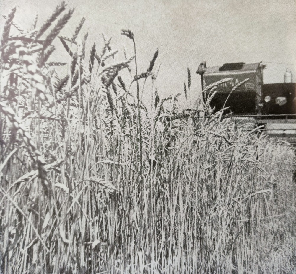 Хлеб 1973