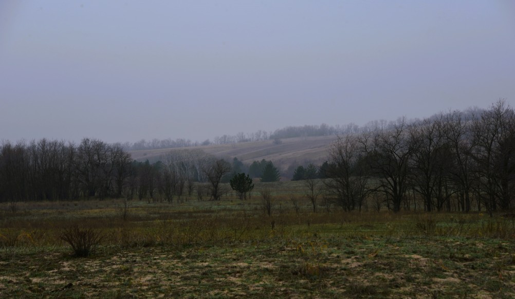 Кучугуры на Калитве