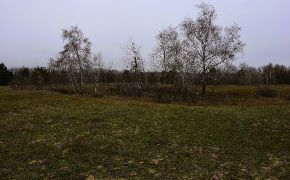 Кучугуры на Калитве