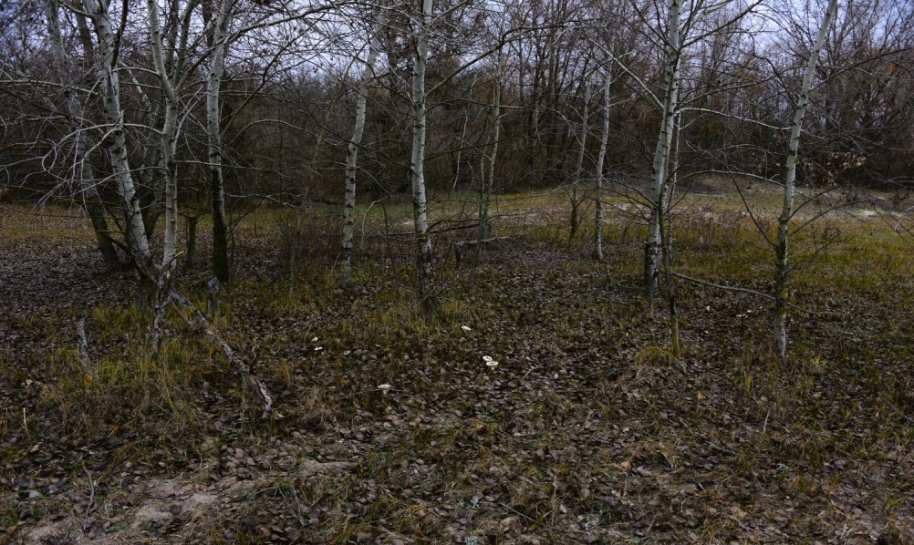 Кучугуры на Калитве