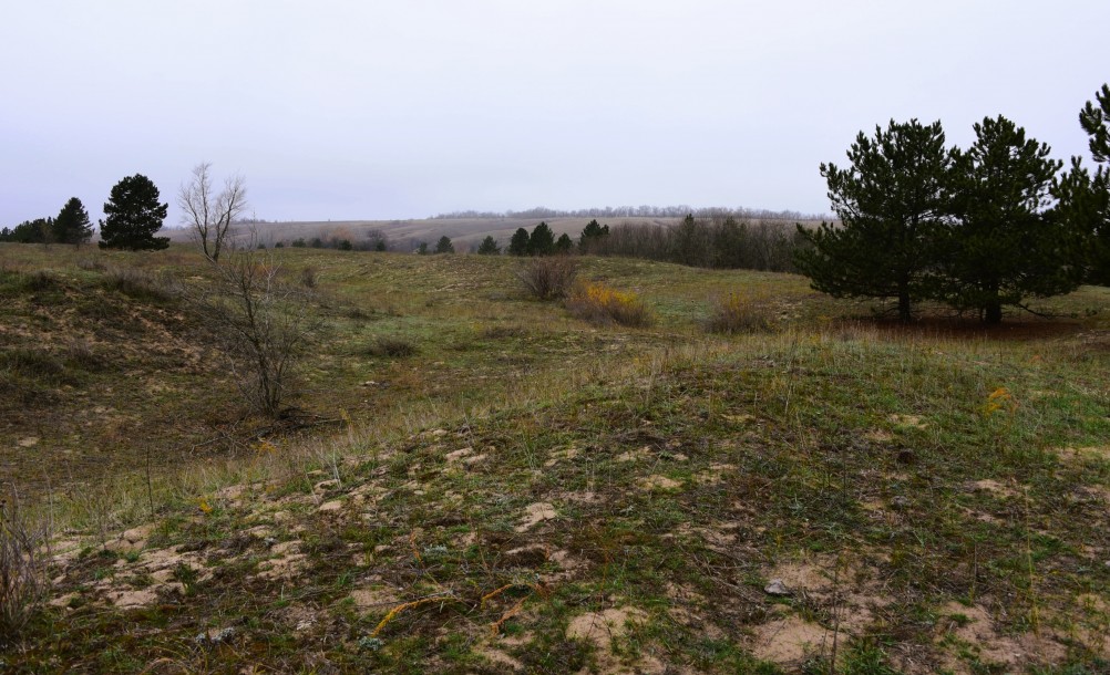 Кучугуры на Калитве