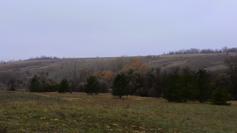 Кучугуры на Калитве