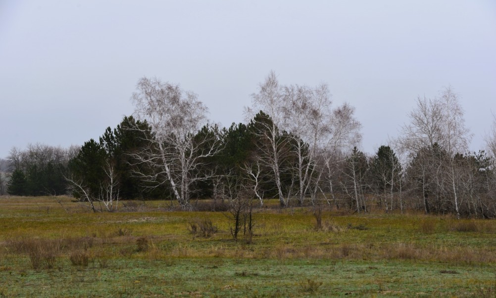 Кучугуры на Калитве