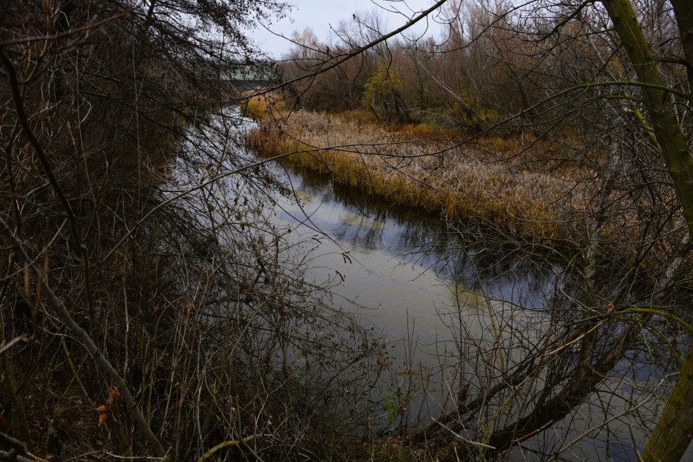 Кучугуры на Калитве