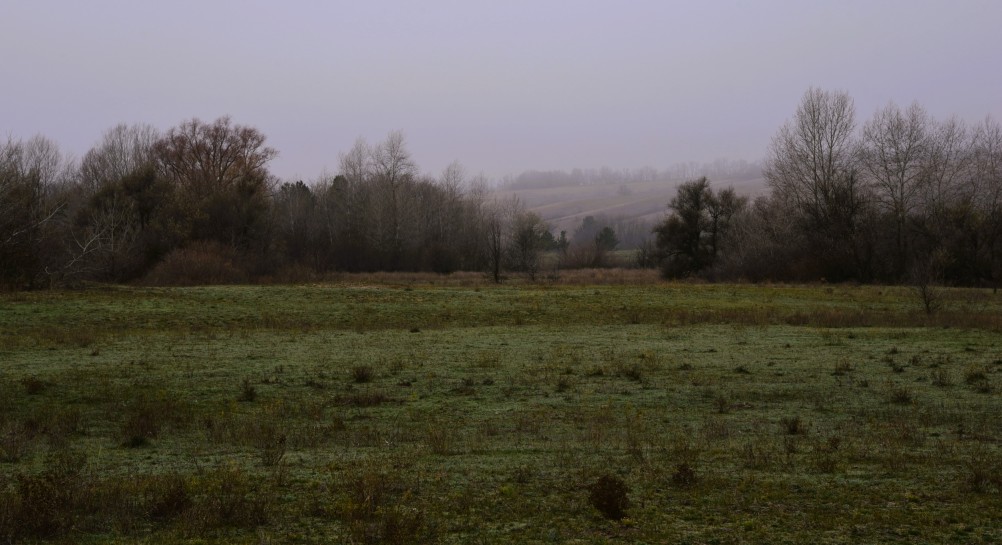 Кучугуры на Калитве