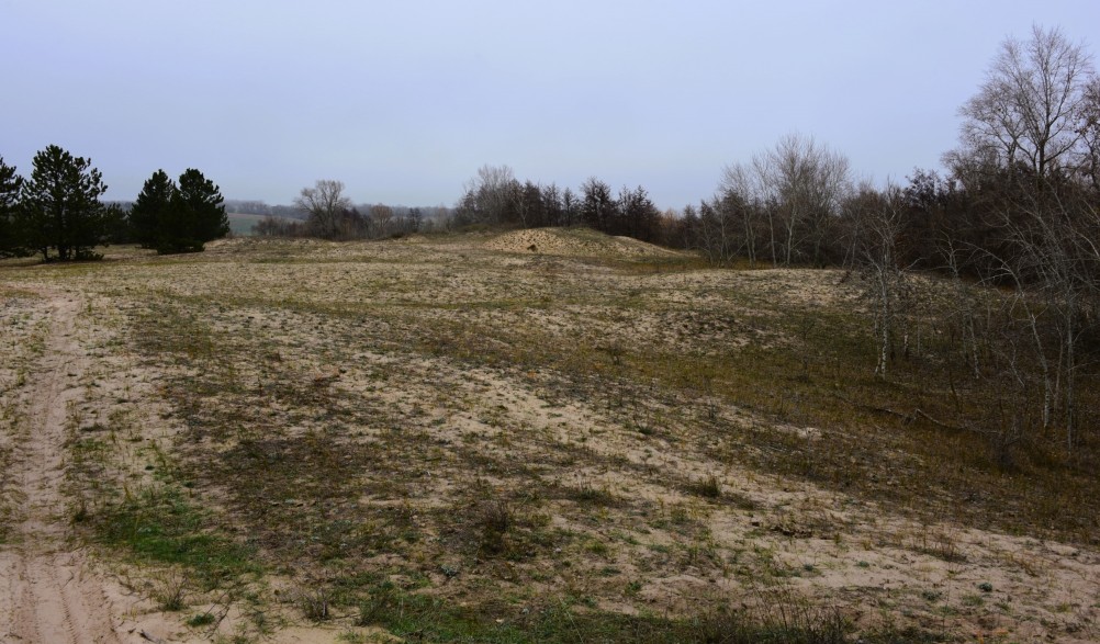 Кучугуры на Калитве