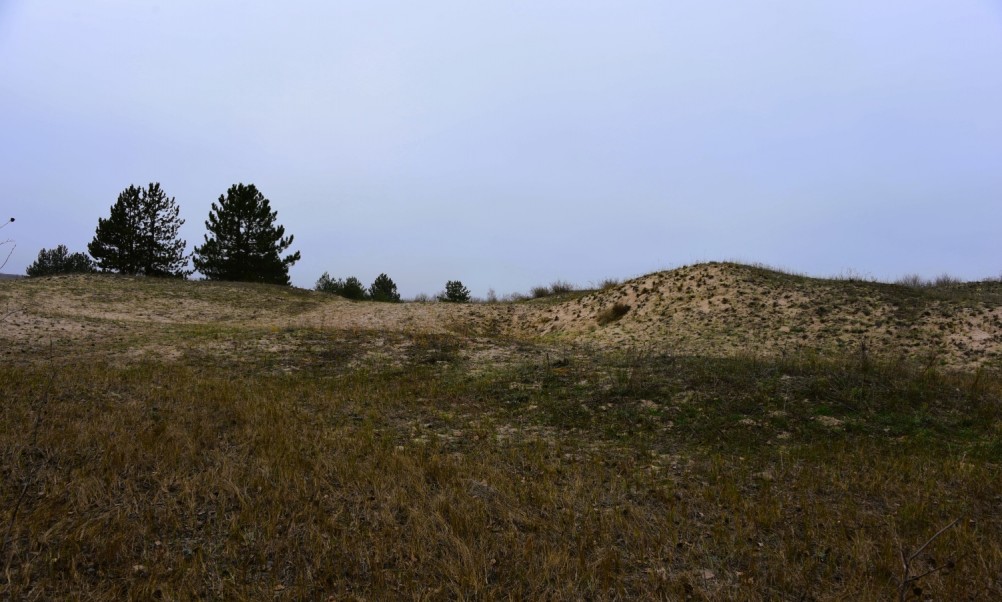 Кучугуры на Калитве