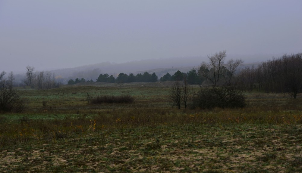 Кучугуры на Калитве