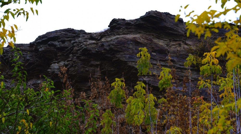 Скалы на Северском Донце между устьем Быстрой и скалой Западня