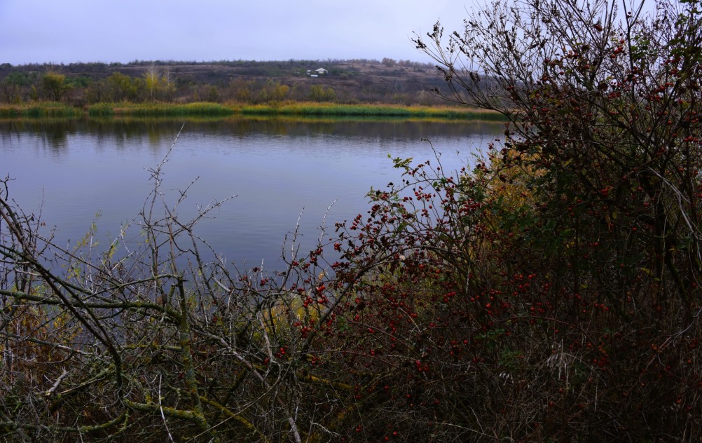 Скалы на Северском Донце между устьем Быстрой и скалой Западня