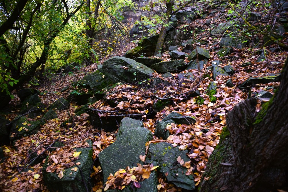 Скалы на Северском Донце между устьем Быстрой и скалой Западня