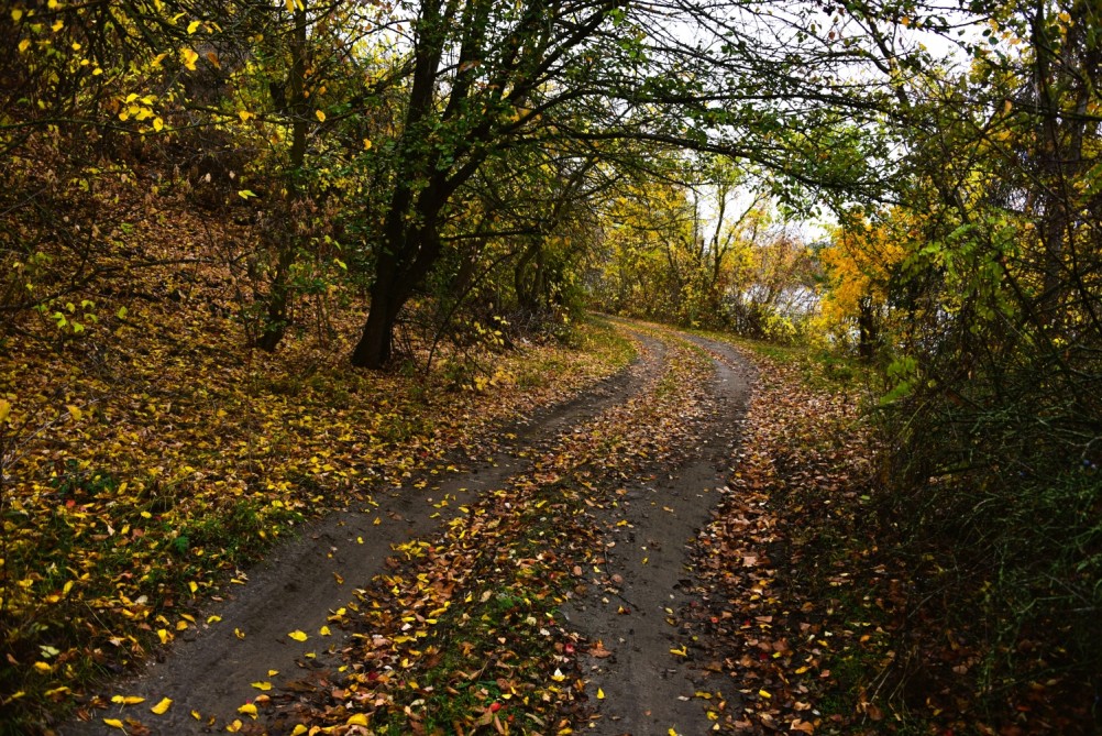 Скалы на Северском Донце между устьем Быстрой и скалой Западня