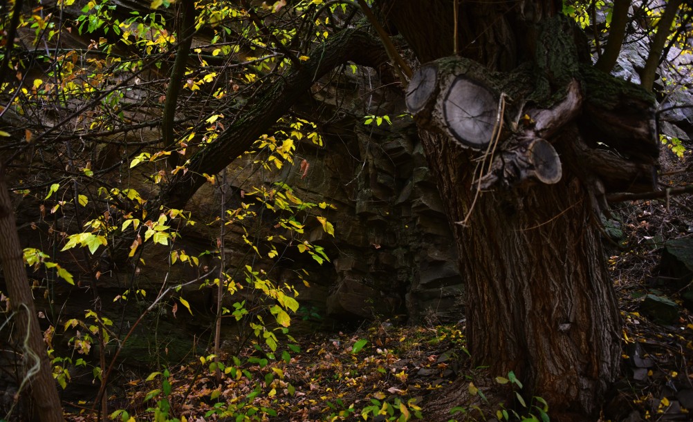 Скалы на Северском Донце между устьем Быстрой и скалой Западня