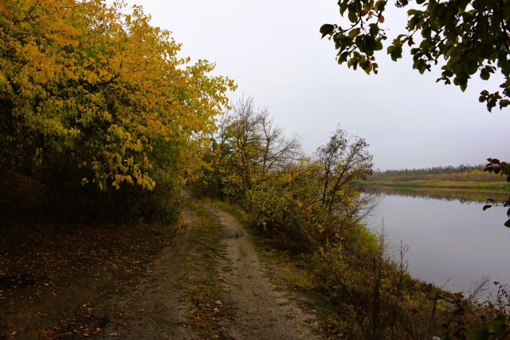 Скалы на Северском Донце между устьем Быстрой и скалой Западня