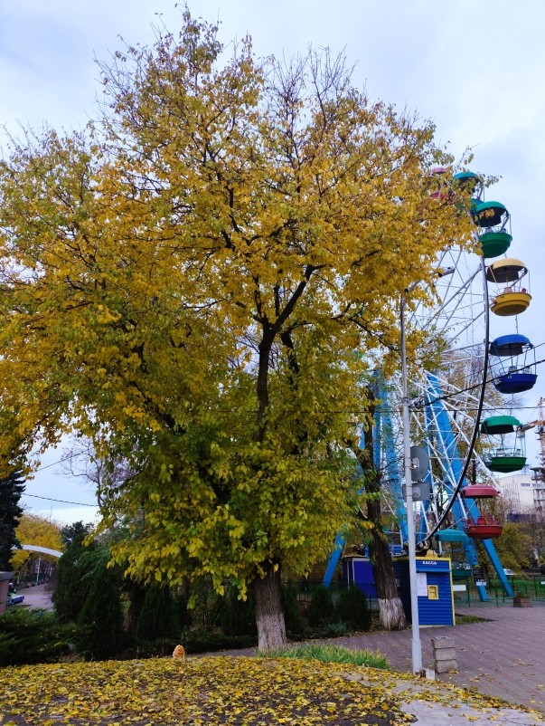 Парк Горького