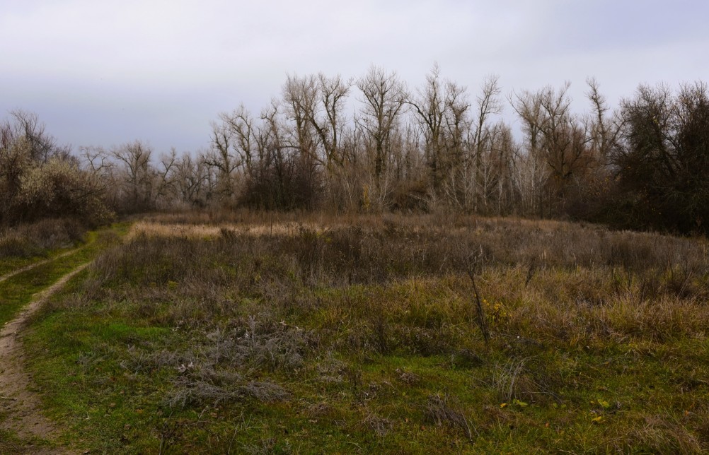 Стоянка древнего человека Хрящи на Северском Донце