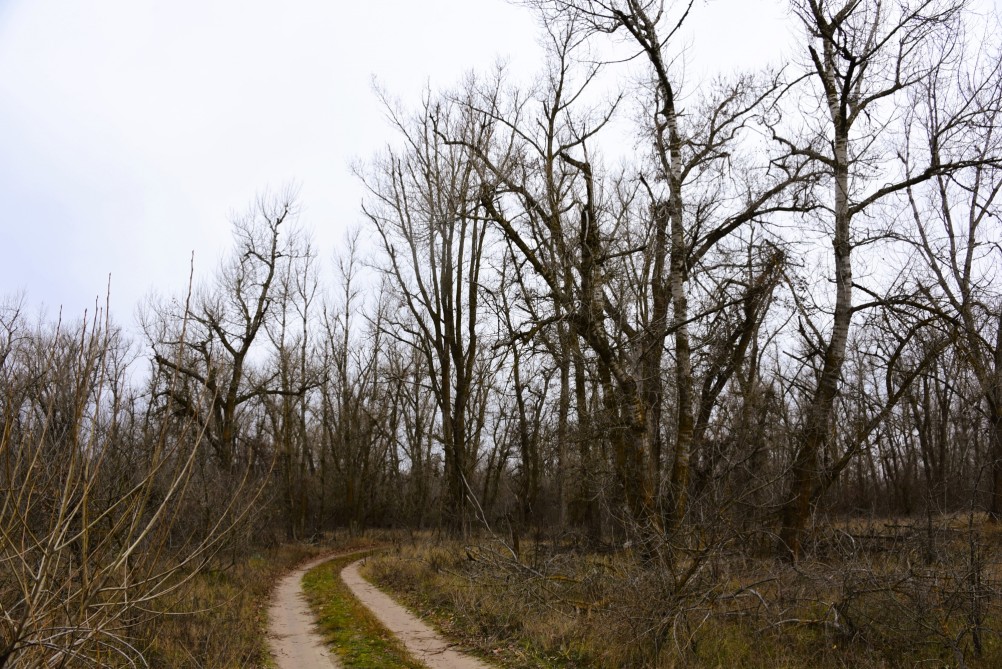 Стоянка древнего человека Хрящи на Северском Донце