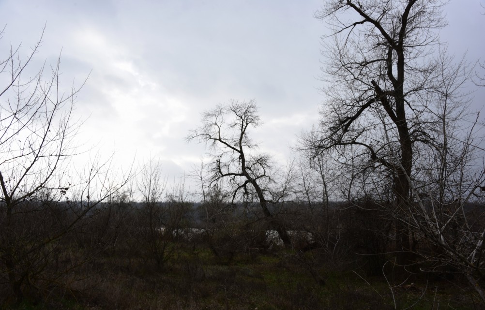Стоянка древнего человека Хрящи на Северском Донце