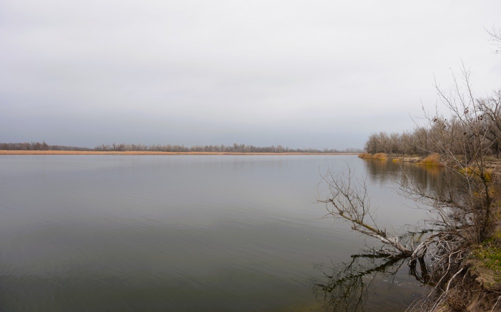 Стоянка древнего человека Хрящи на Северском Донце