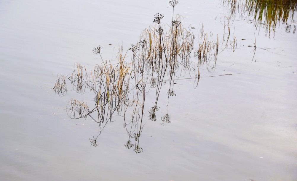 Стоянка древнего человека Хрящи на Северском Донце