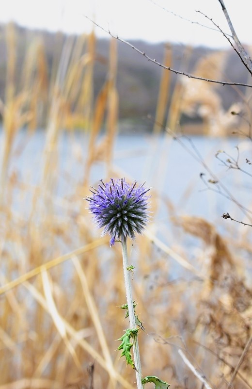 Стоянка древнего человека Хрящи на Северском Донце