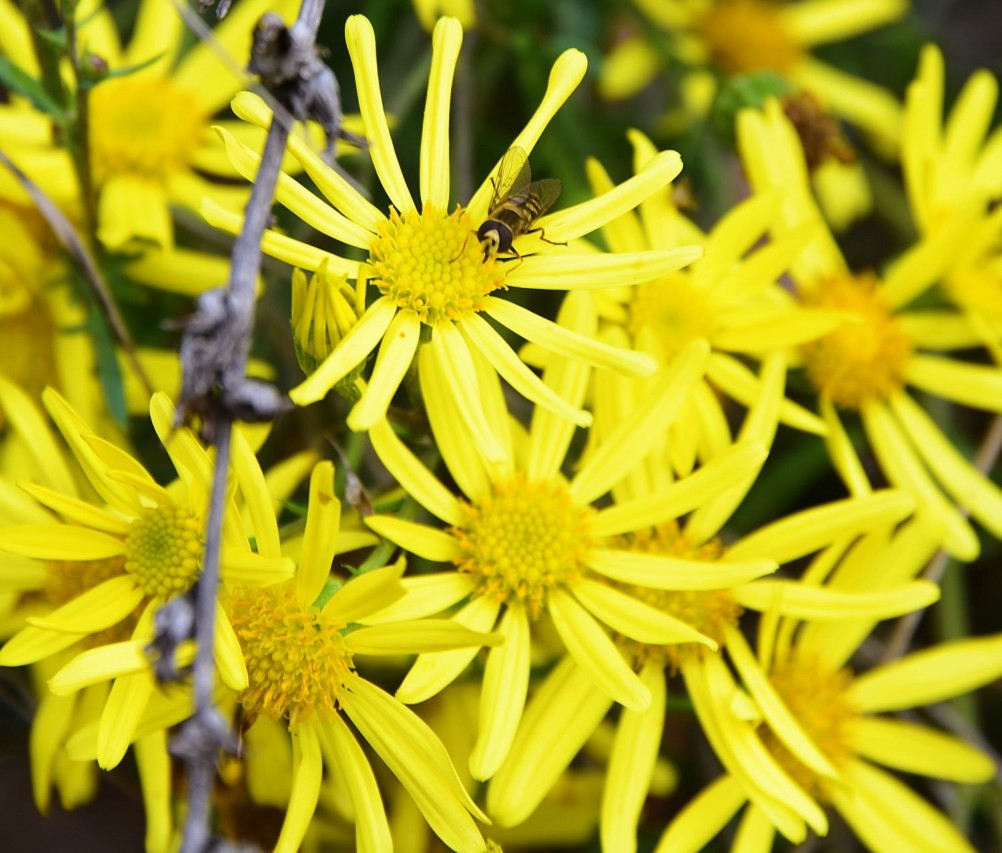 Стоянка древнего человека Хрящи на Северском Донце