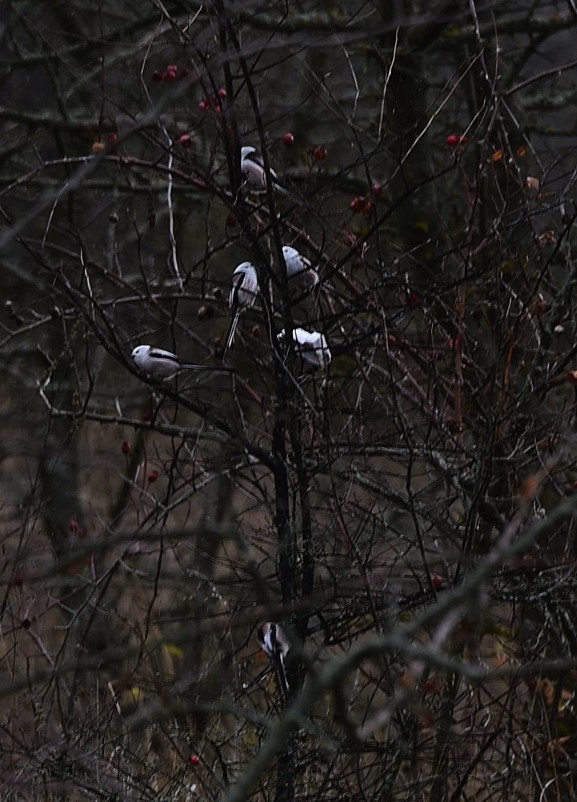 Стоянка древнего человека Хрящи на Северском Донце