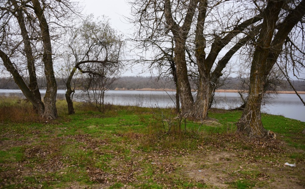 Стоянка древнего человека Хрящи на Северском Донце