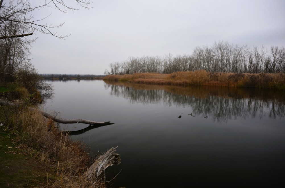 Стоянка древнего человека Хрящи на Северском Донце
